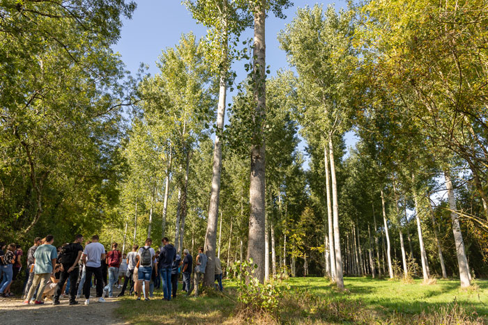 Formation environnement