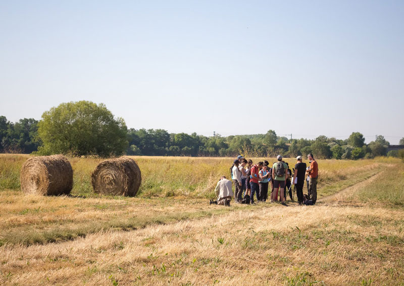 formation et reconversion agricole a distance