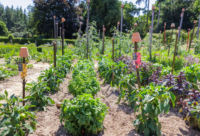 Formation horticulture et paysage